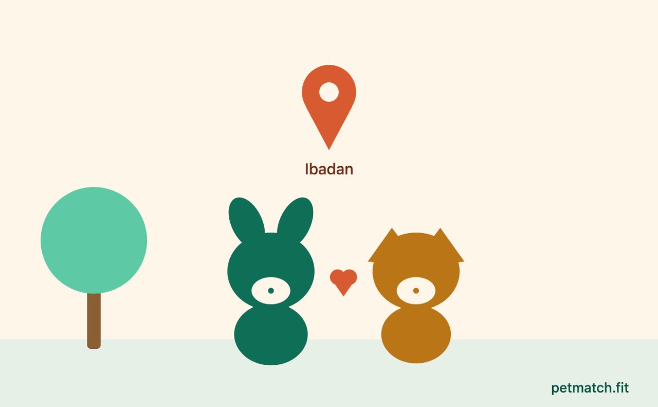 Find a friend for you dog or cat in Ibadan