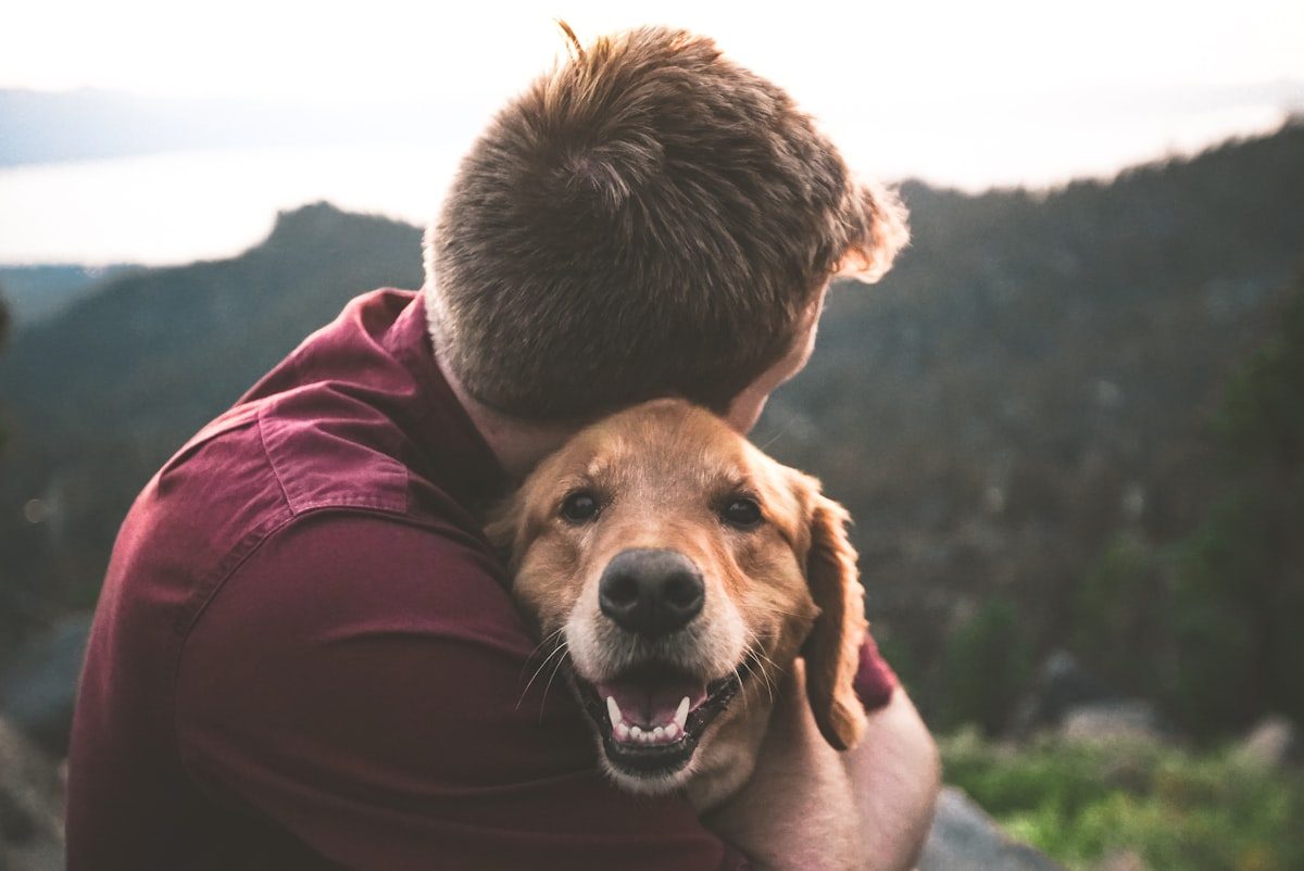 More Nigerians Are Bringing Dogs Home — Here's How to Do It Safely