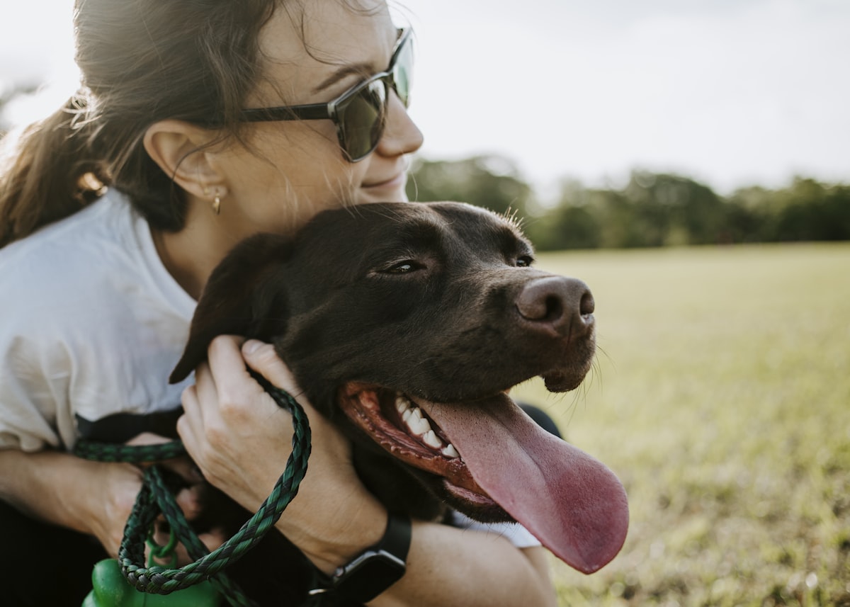 Something Is Changing in How Nigerians See a Dog